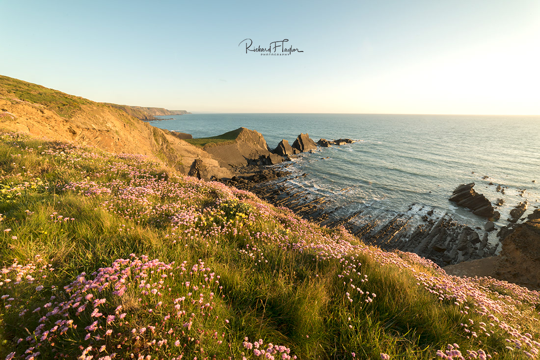 Hartland