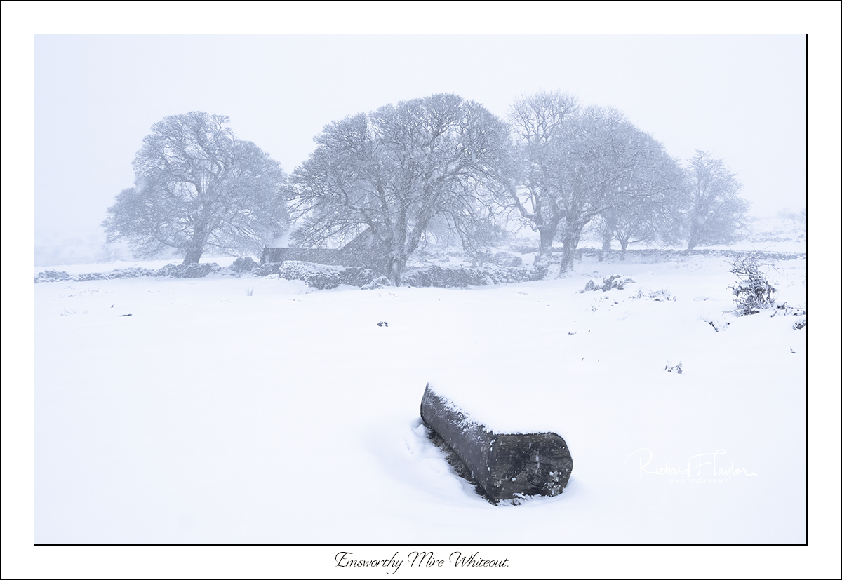 Emsworthy Mire.