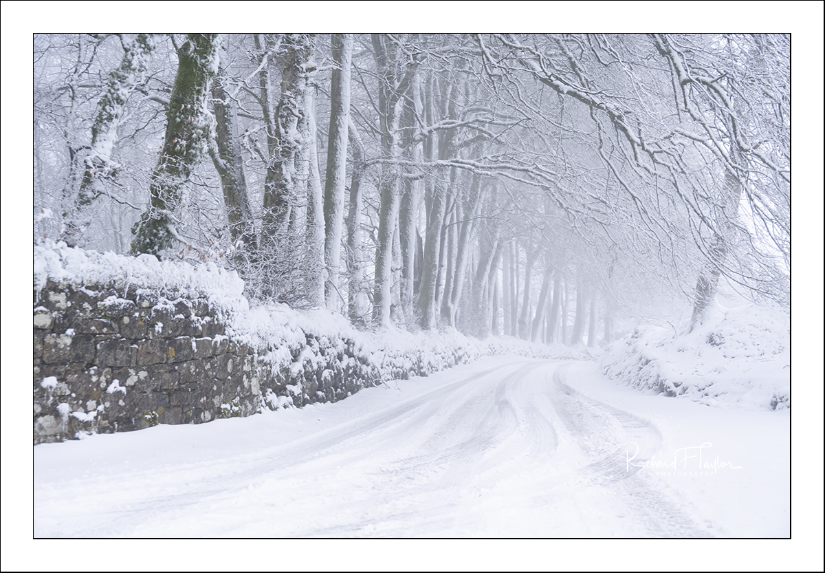 The Road to Hound Tor.