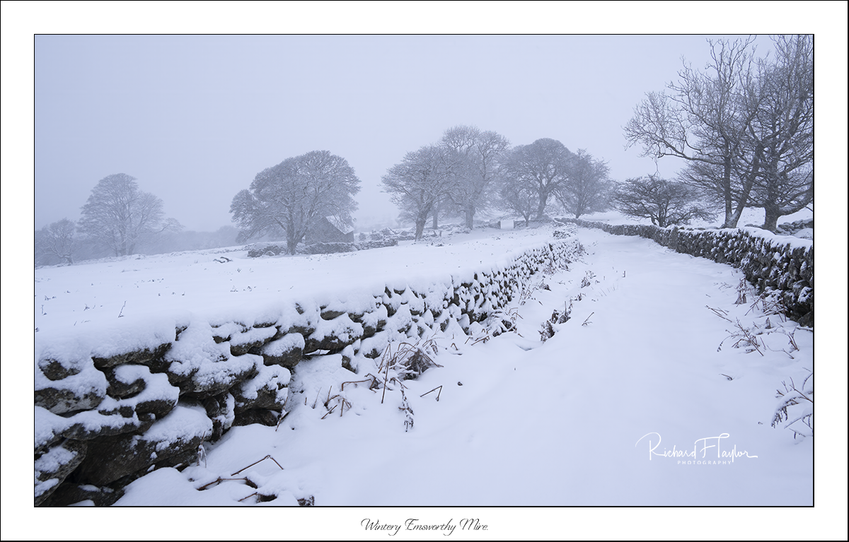 Wintery Emsworthy Mire.