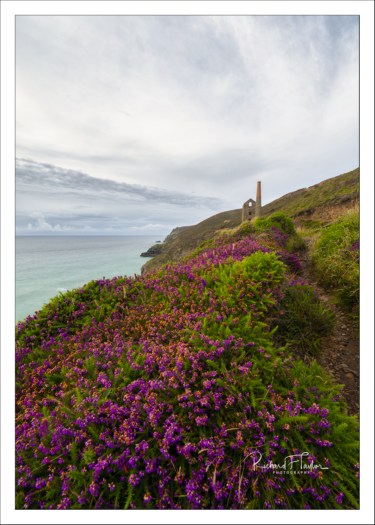Purple Cliffs