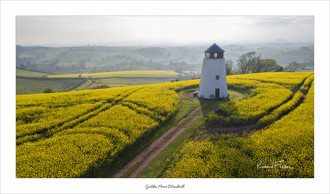 Golden Hour Windmill.