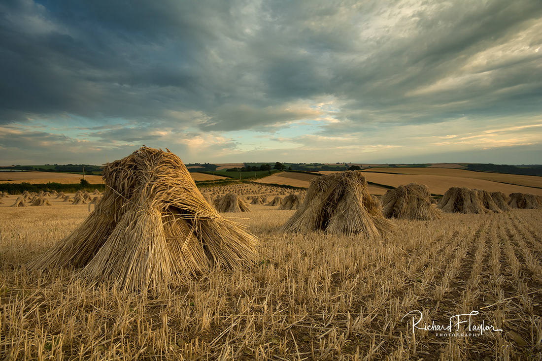 Stooks