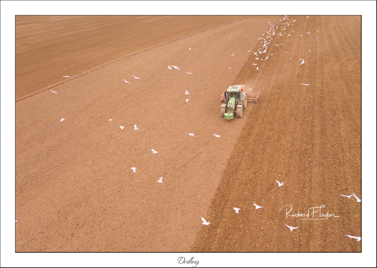 Drilling.