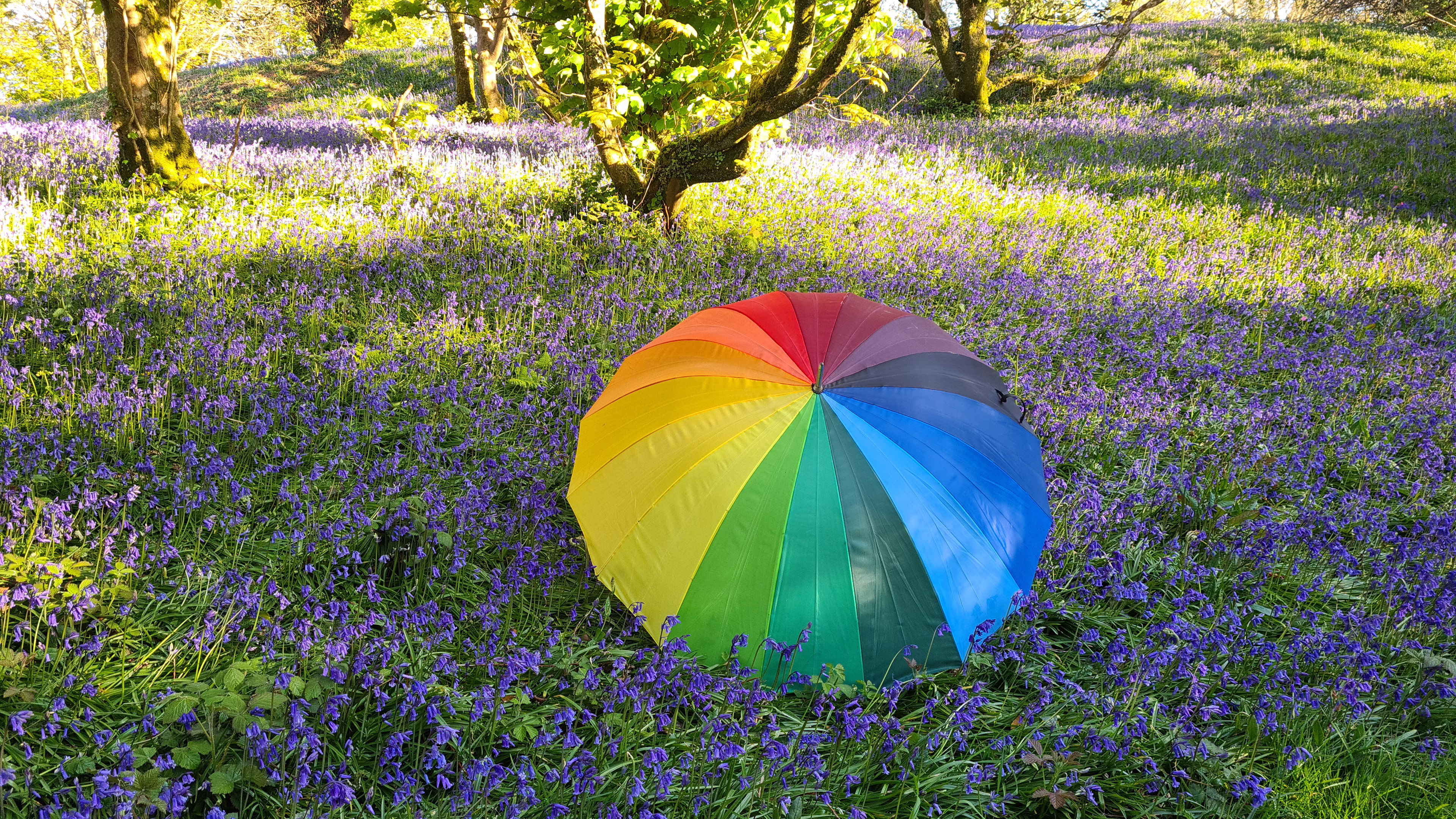 Bluebell Umbrella