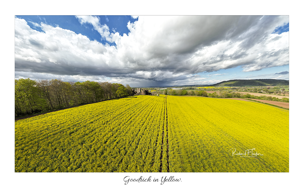 Goodrich in Yellow.