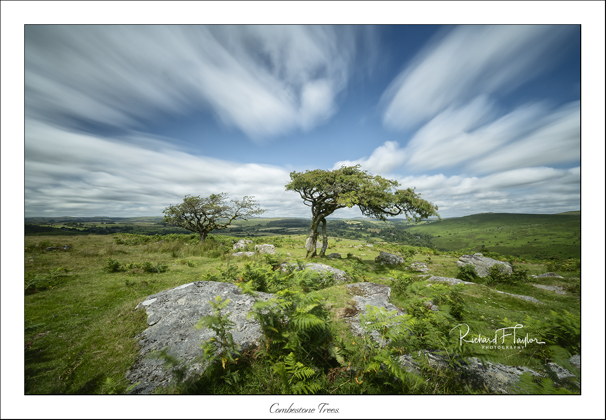 Combestone Trees.
