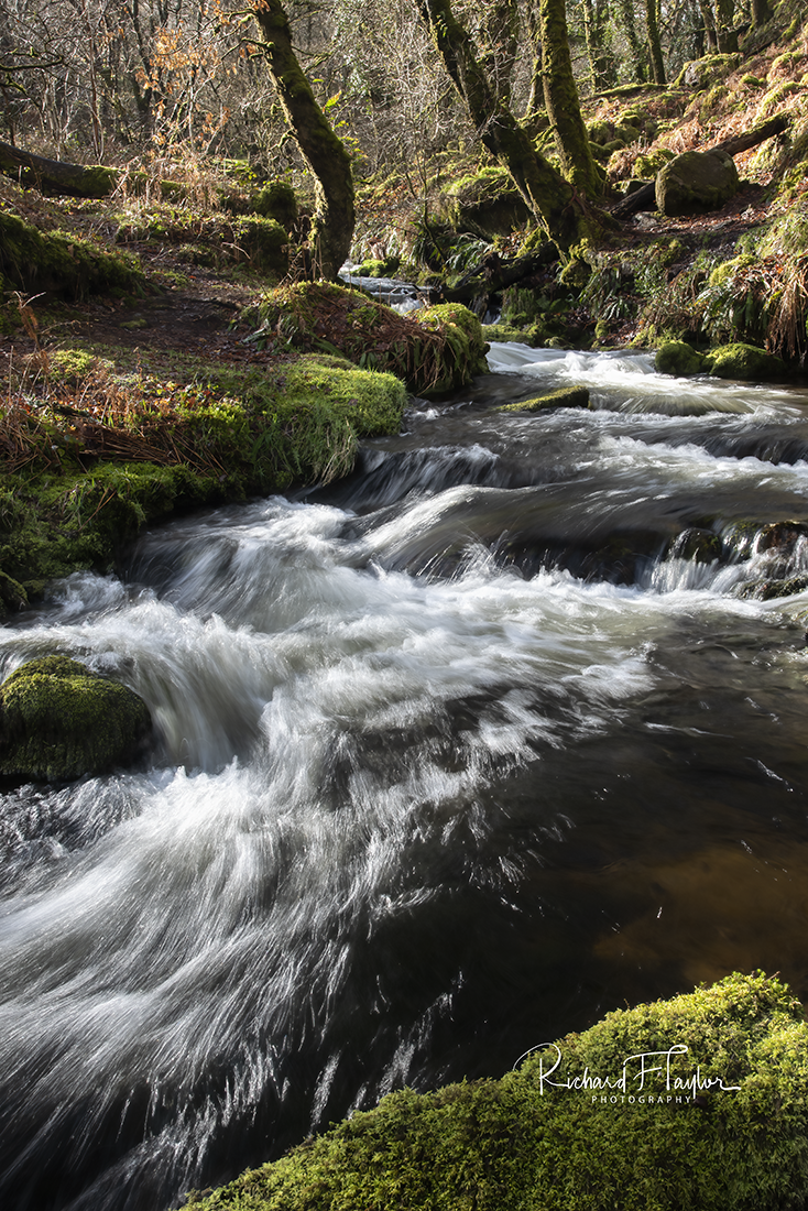Venford Brook