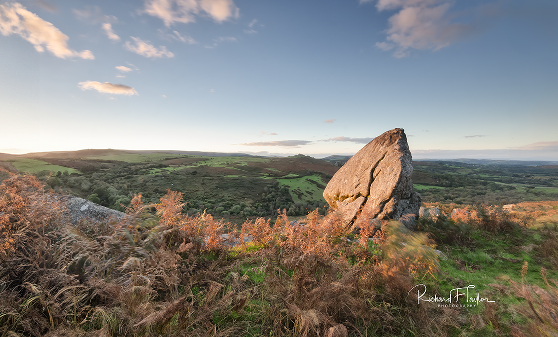 Moorland Glow