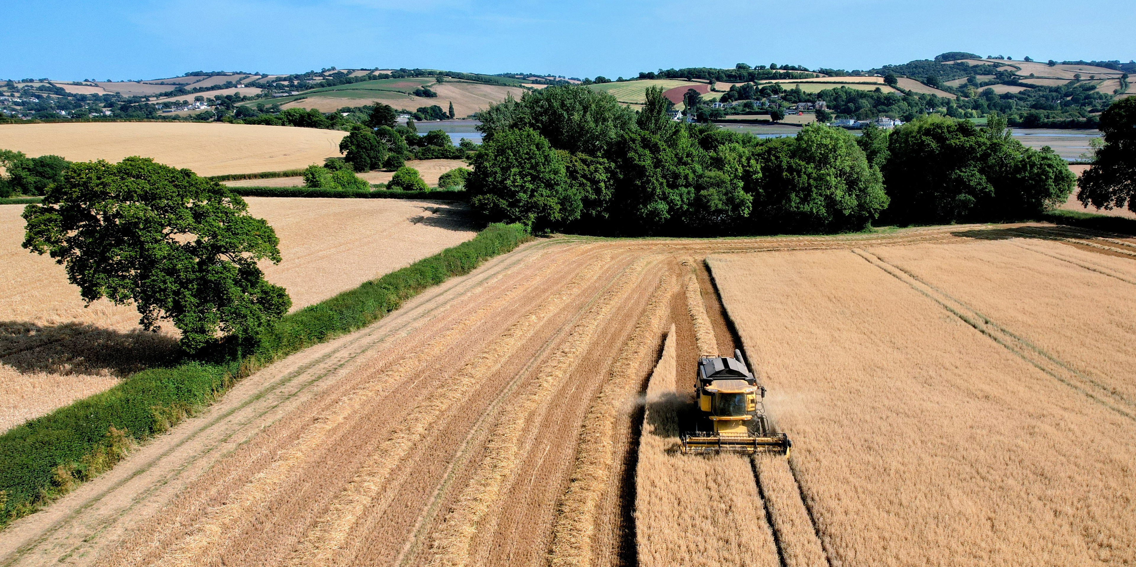 Harvest