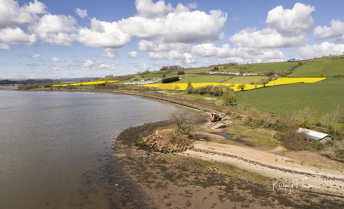 Spring yellow 