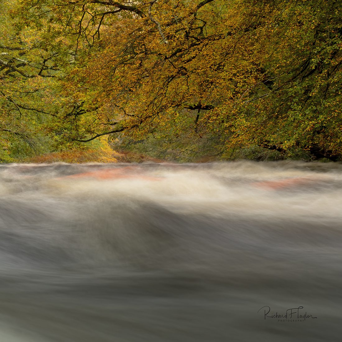 Canoe River