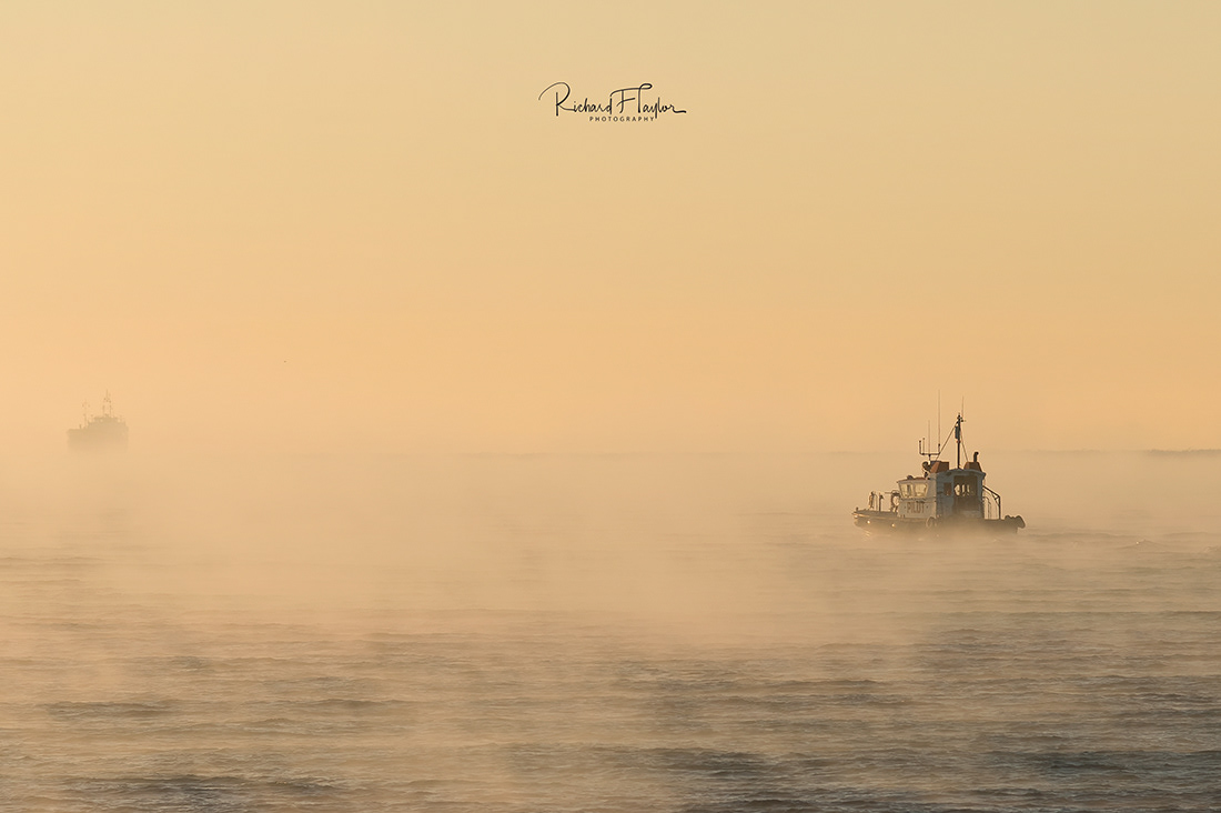 Piloting the Mist