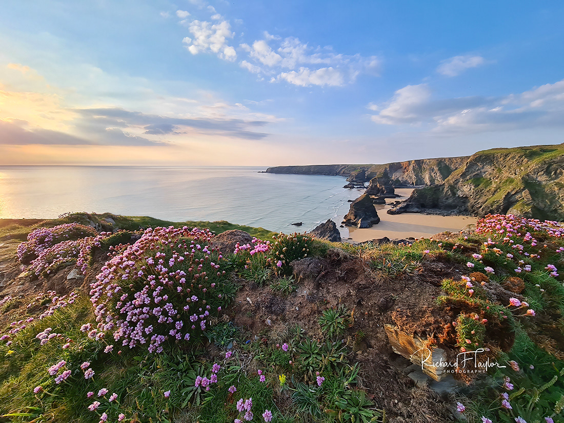Bedruthan Pink