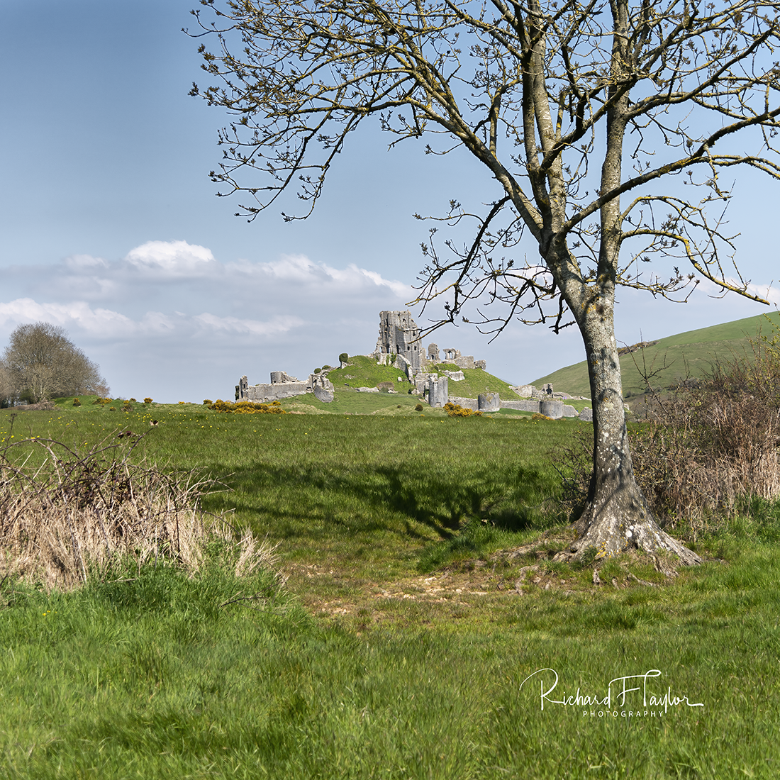 Corfe Castle 