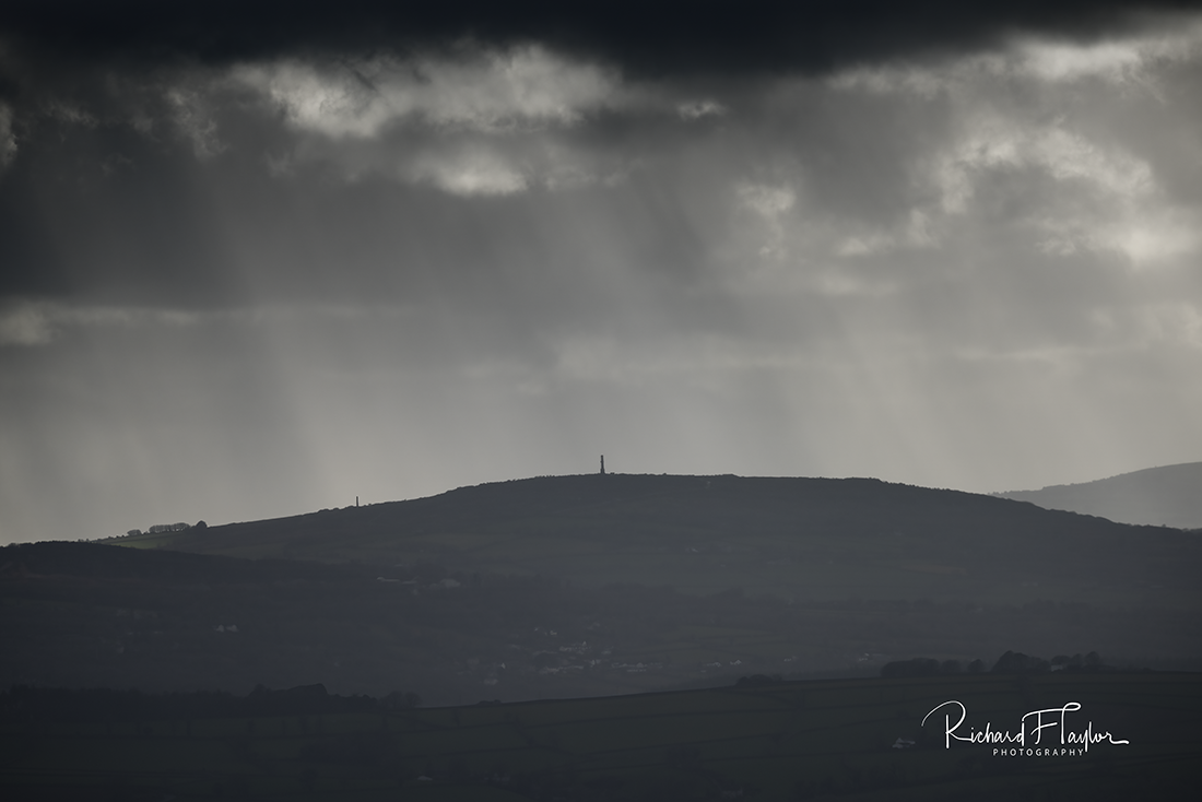 Rays
