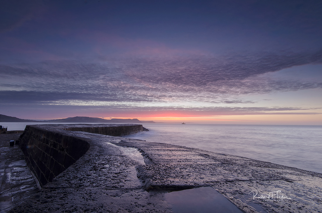 The Cobb
