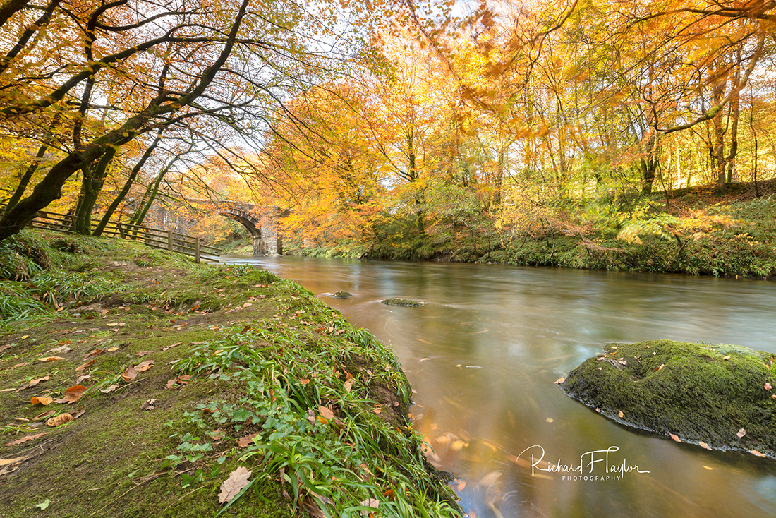 Holne Bridge