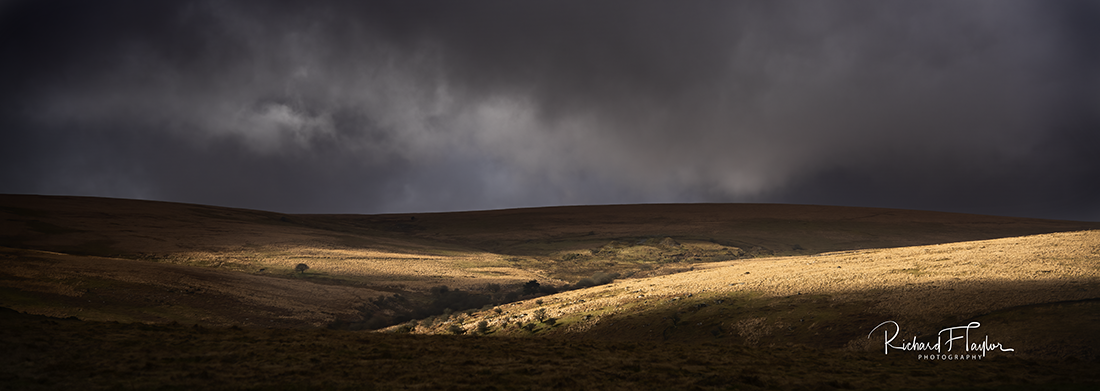 Sunlight and Dark