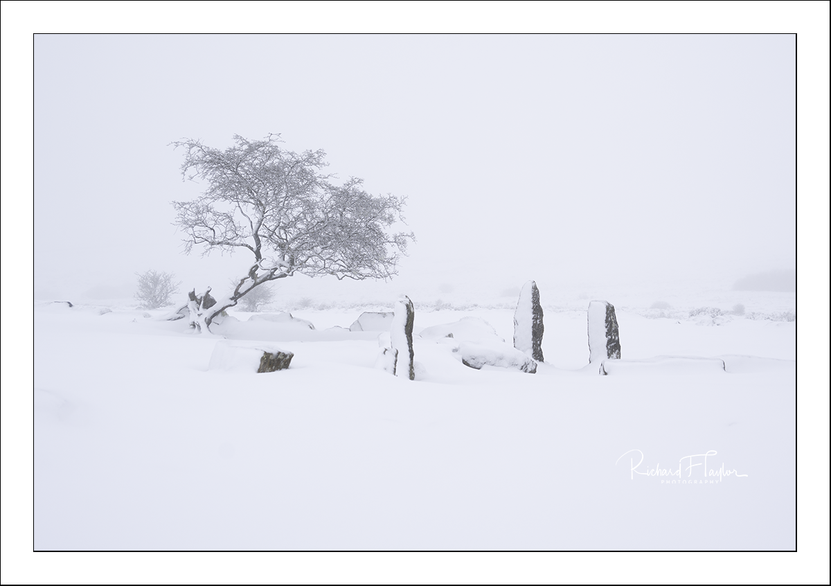 Winter @ the Newhouse Inn.