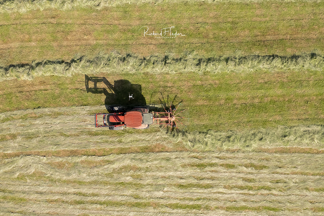 Hay Making
