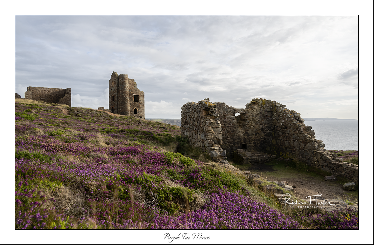 Purple Tin Mines