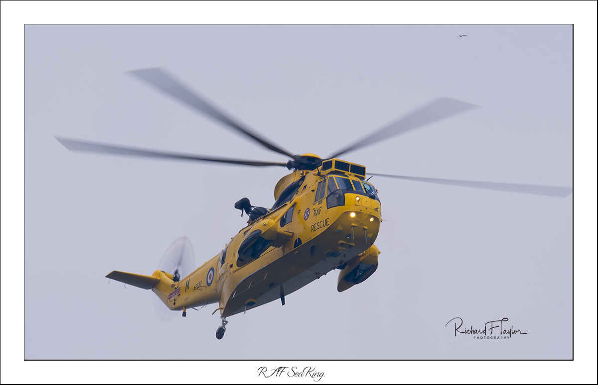 Sea King