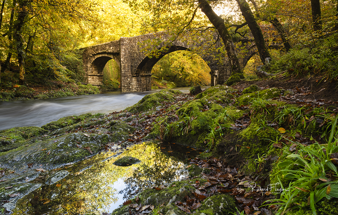 Golden Bridge