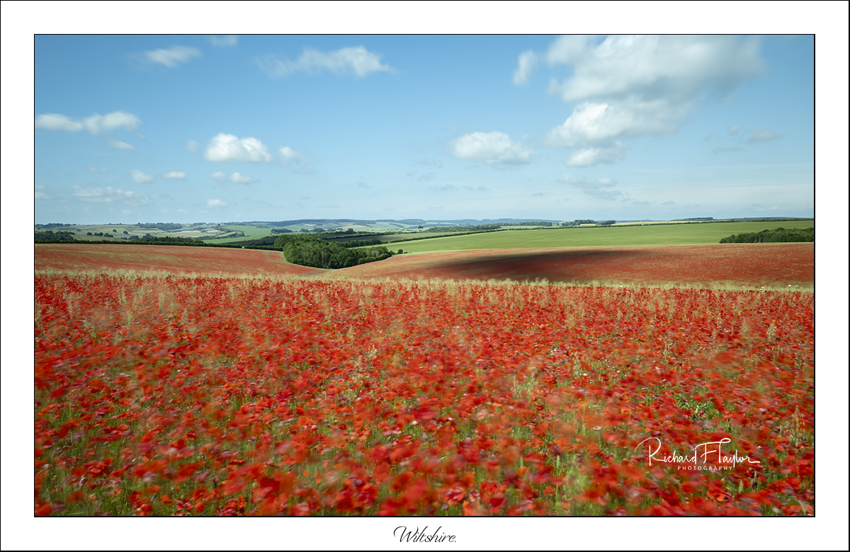 Wiltshire.