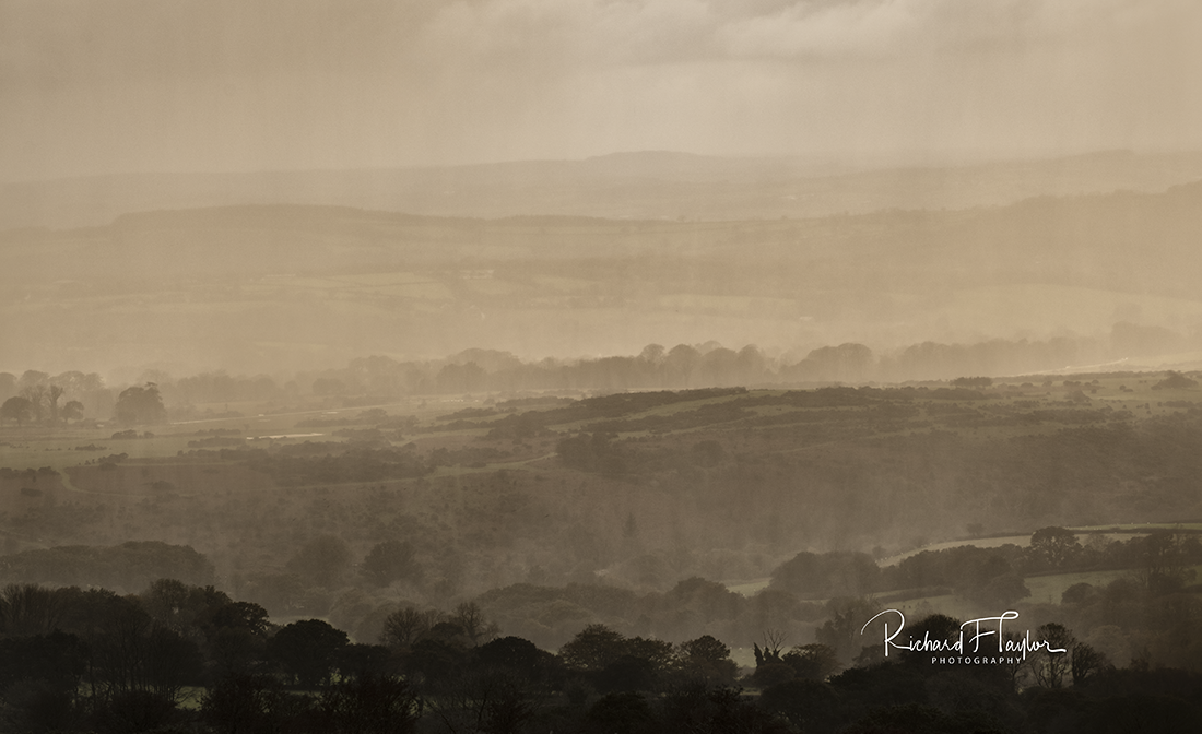 wet and windy moor