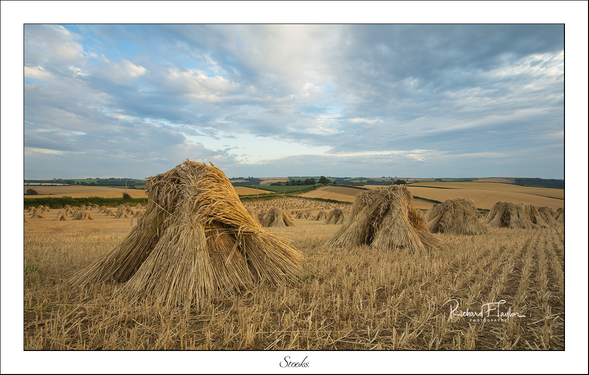 Stooks.