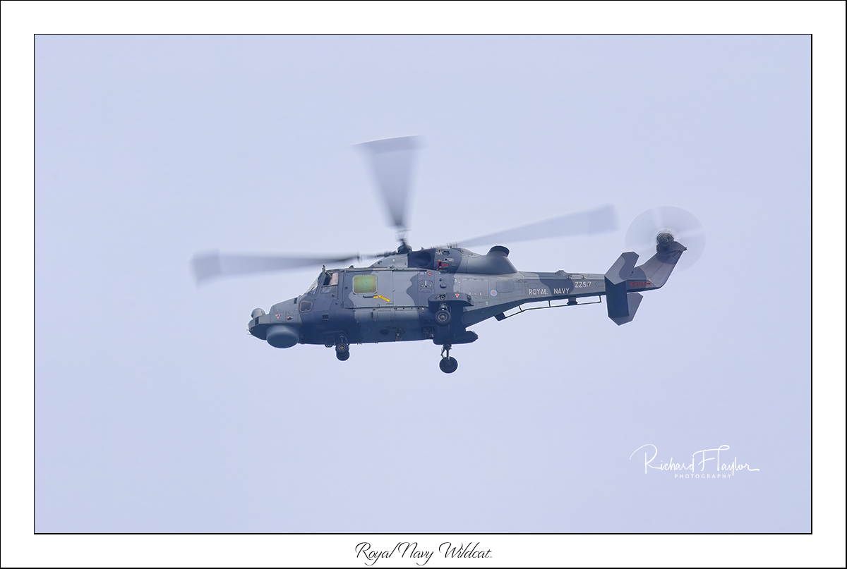 Royal Navy Wildcat.