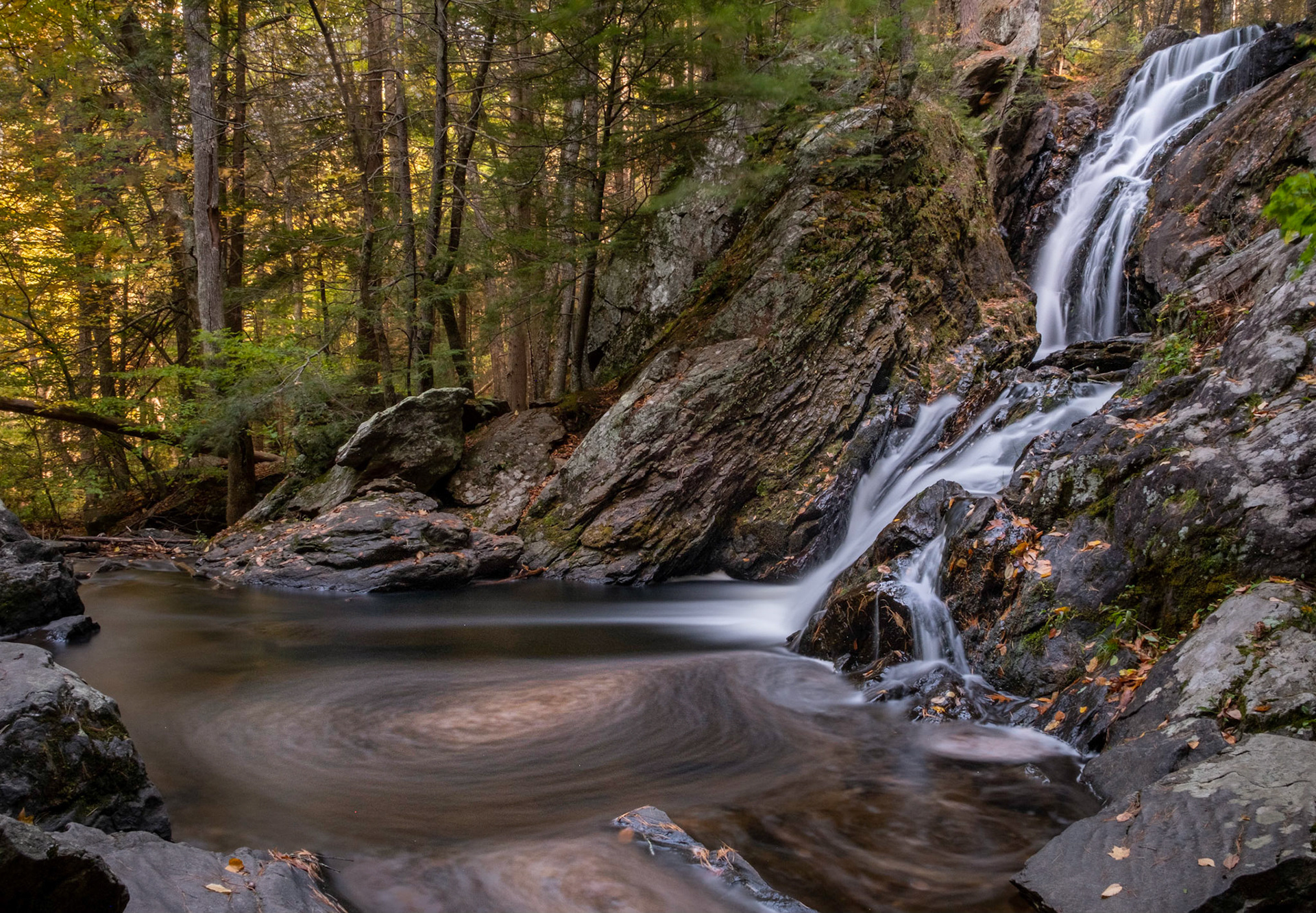 Campbell Falls