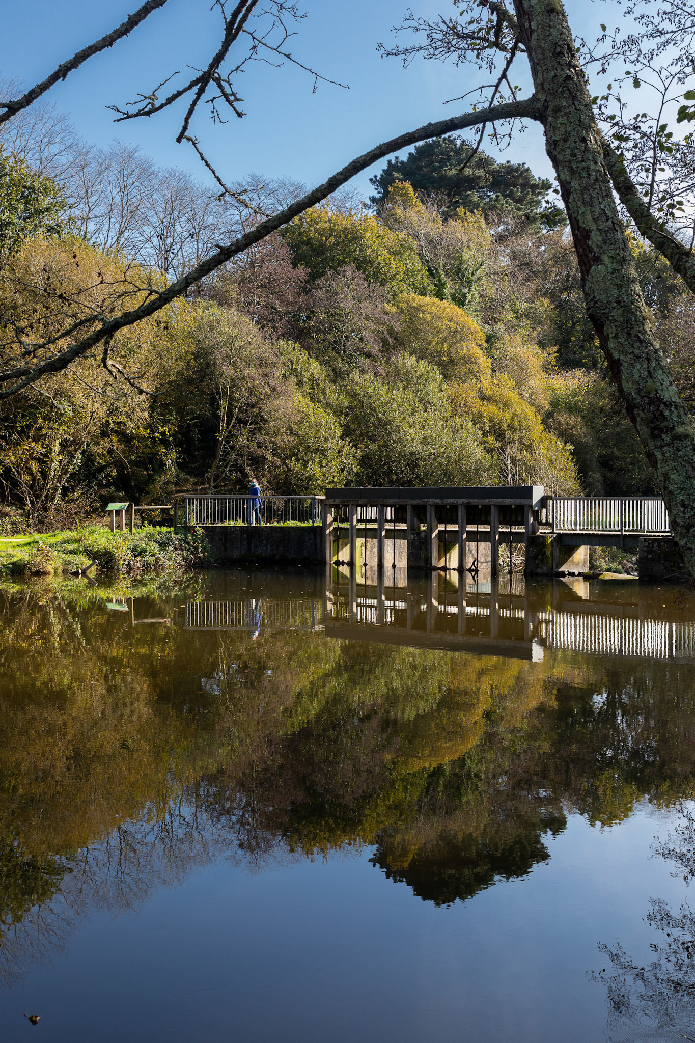 Le barrage du Steïr du Moulin Vert fait obstacle à la rivière. Il fait l'office d'une étude du sivalodet pour étudier ses nuisances.