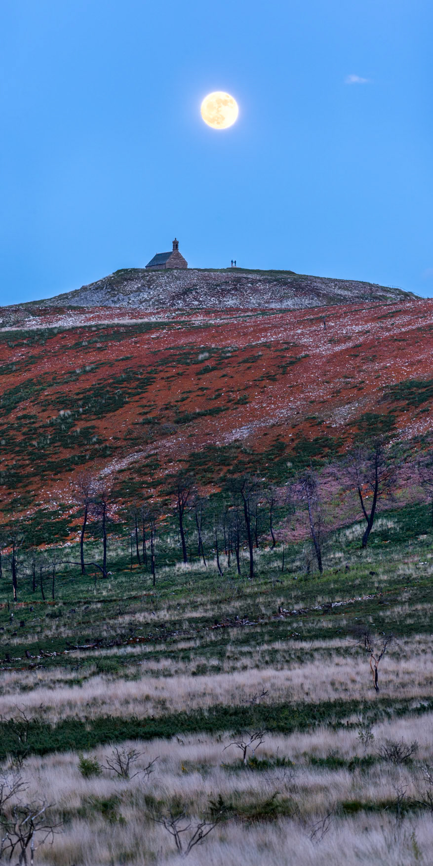 En cadrage vertical, la succession de végétation rythme la photo : une espèce de savane gris-clair, des arbres décharnés et brulés par l'incendie qui a ravagé les lieux il y a deux ans, la mousse orange qui a profité de l'incendie pour recouvrir de vastes zones, puis la Chapelle  Saint-Michel de Brasparts et enfin la Pleine Lune dans un ciel tout bleu où s'attarde un petit nuage (à droite).