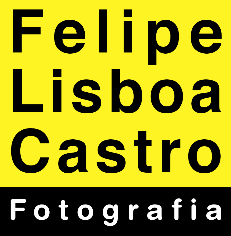 Felipe Lisboa Castro