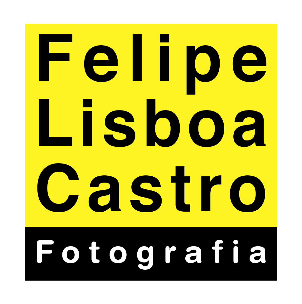 Felipe Lisboa Castro