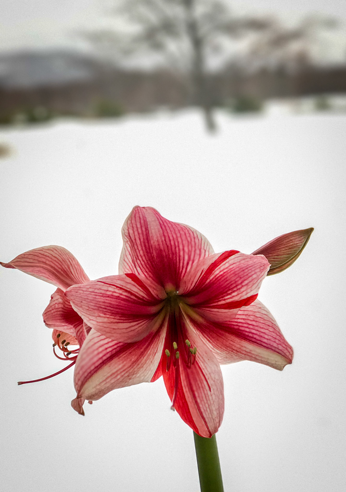 It's cold outsideoutside!