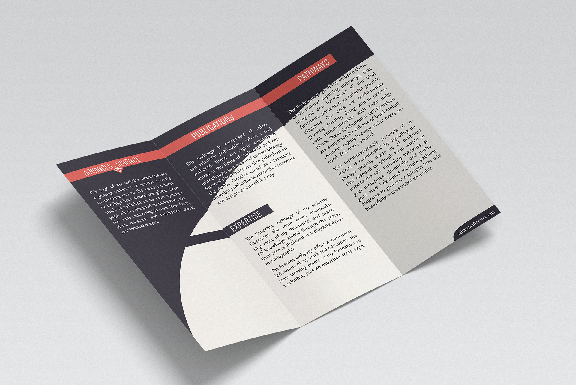 SF Website Brochure Page 2