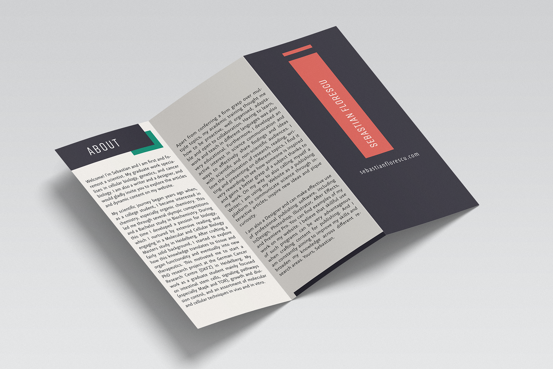 SF Website Brochure Page 1