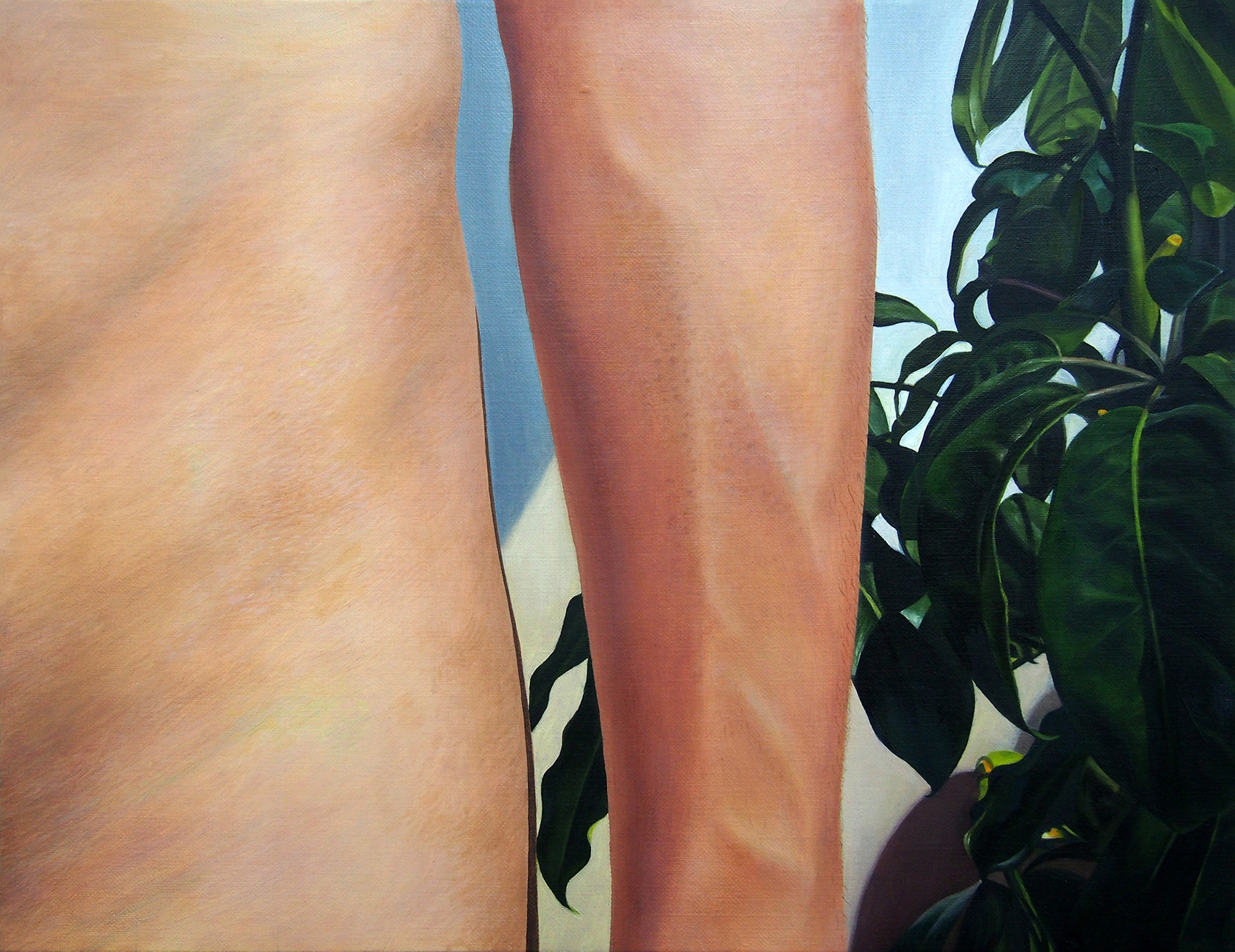 Untitled, 2012, Oil on canvas, 41 x 53 cm