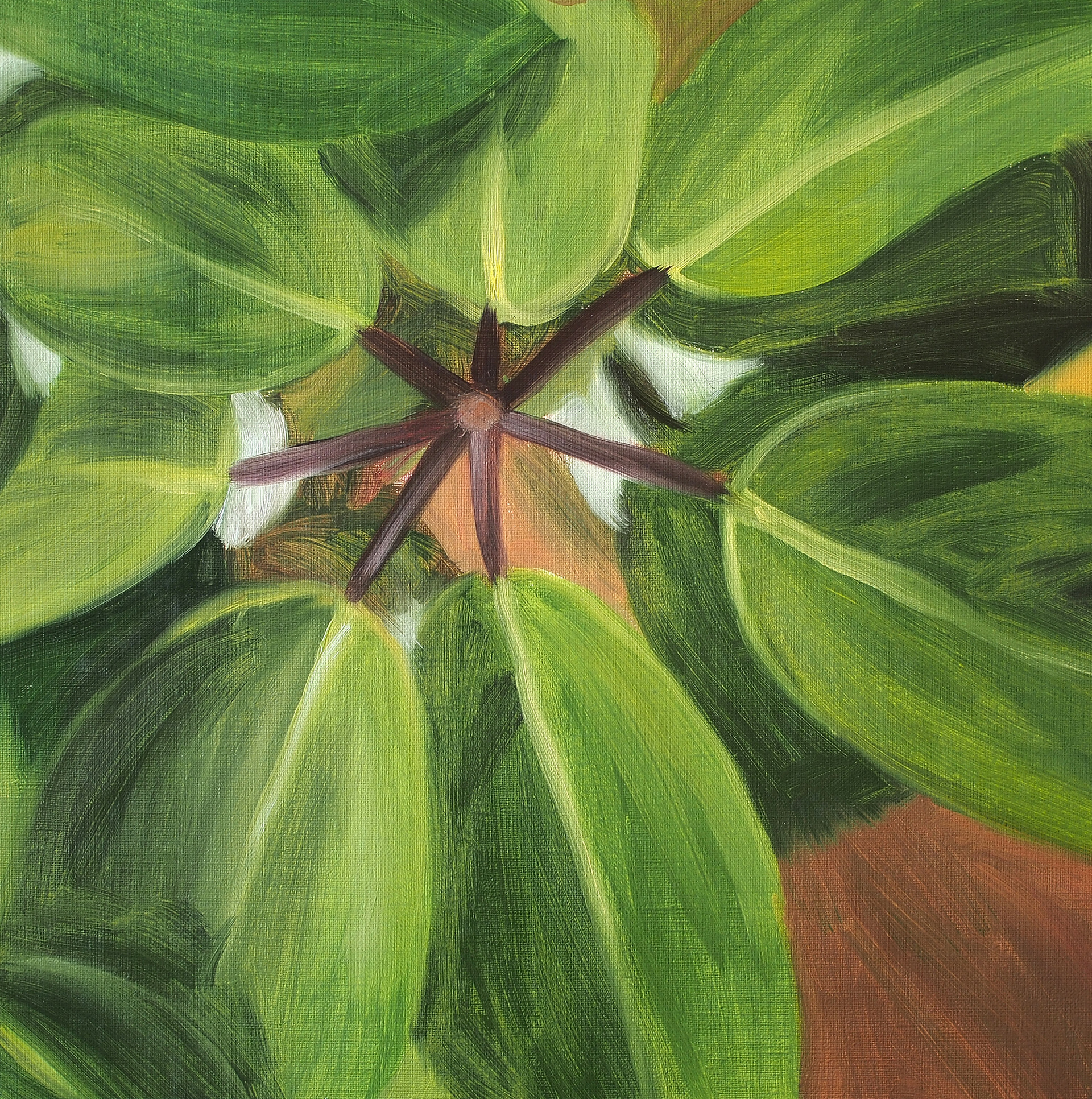 Untitled #11, 2014, Oil on paper, 31 x 31 cm