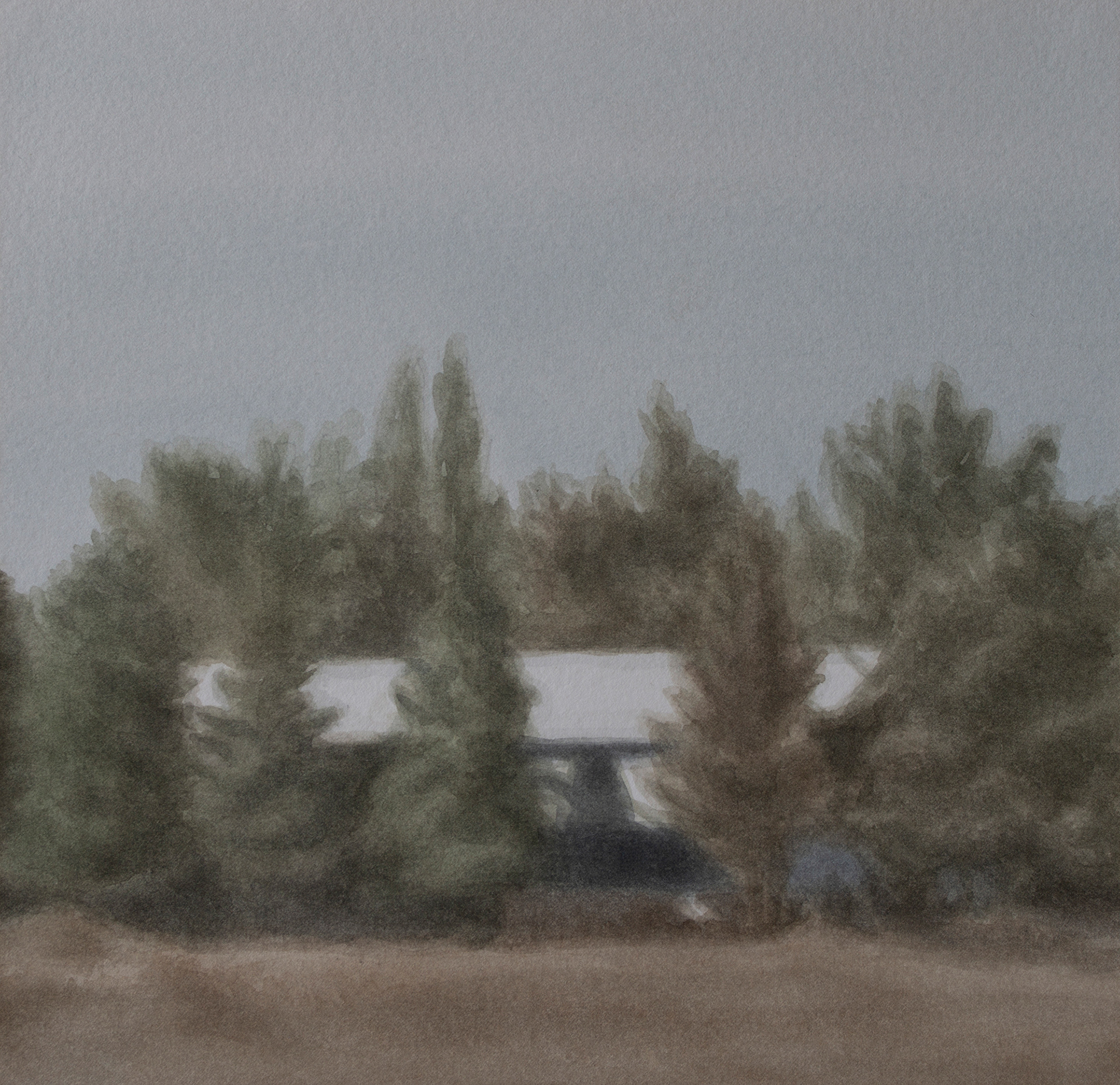 A Forest, 2021, Watercolor on paper, 19.5 x 20 cm