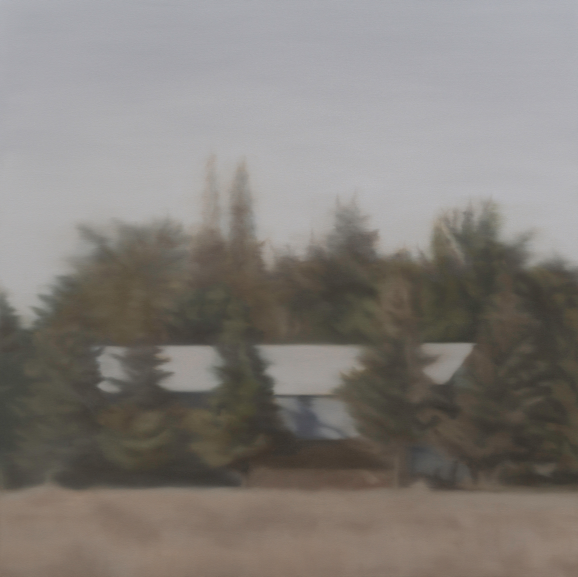 A Forest #2, 2024, Oil on canvas, 120 x 120 cm