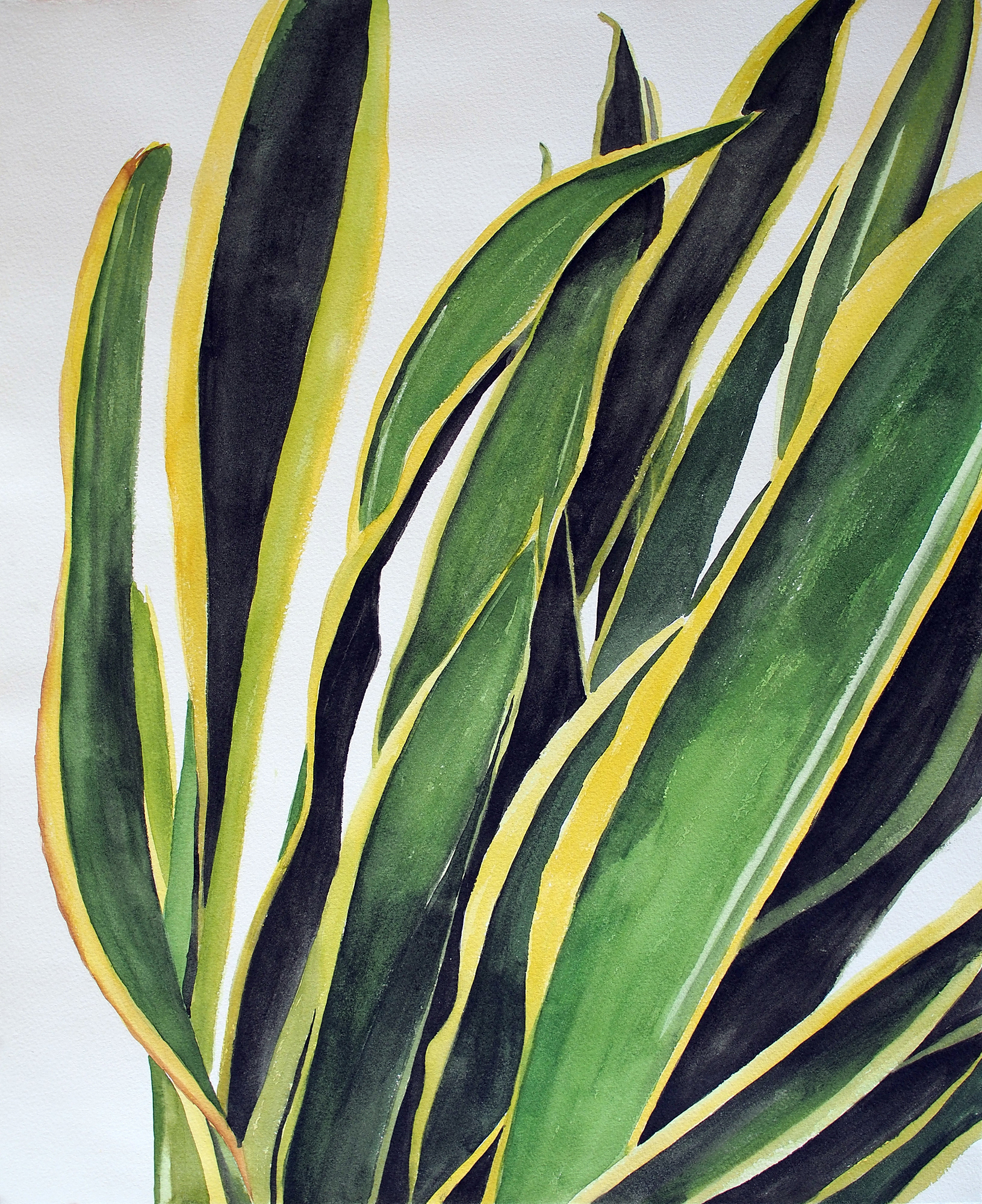 Untitled #16, 2014, Watercolor on paper, 56.5 x 46 cm