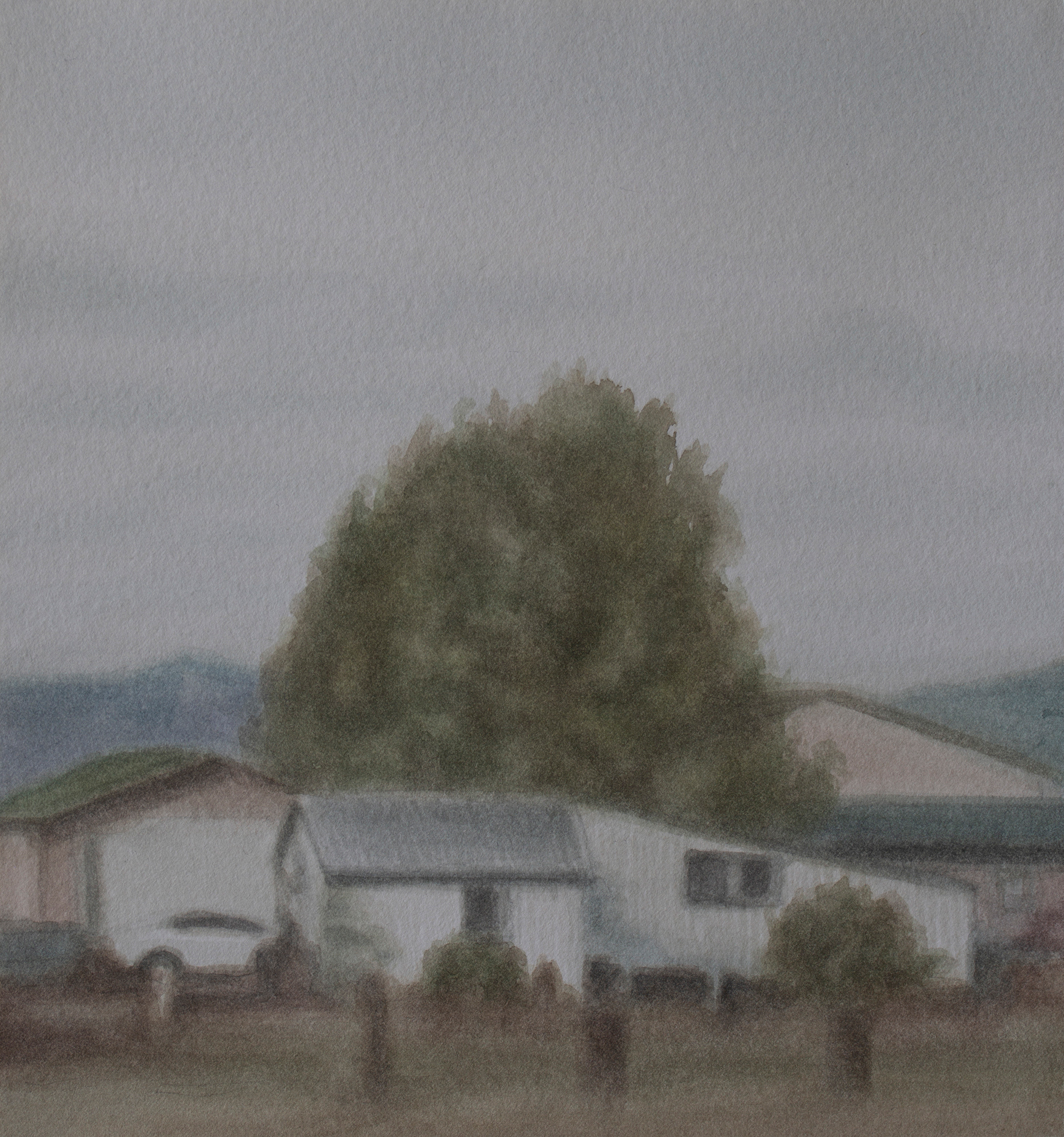 A Big Tree, 2021, Watercolor on paper, 18 x 17 cm