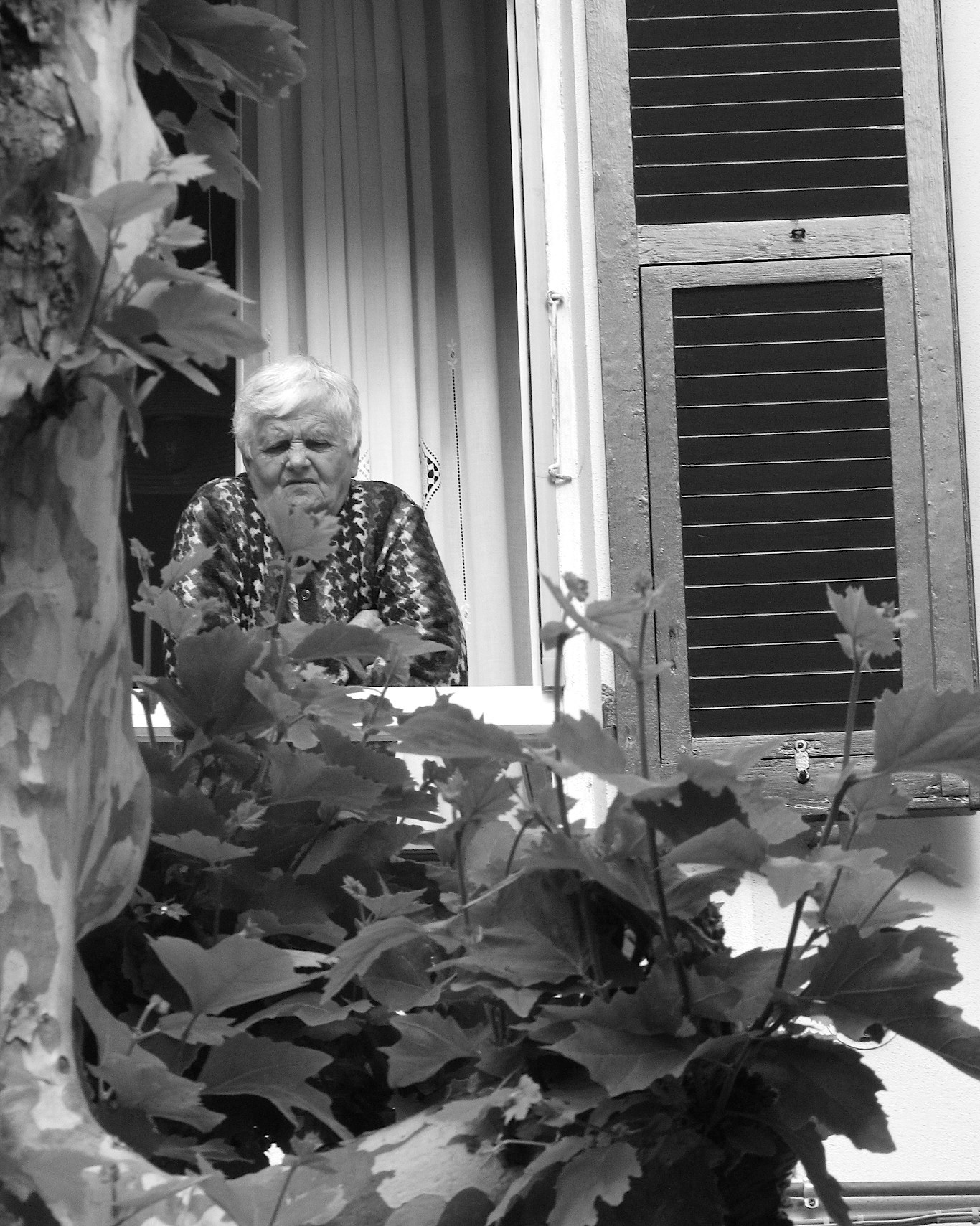 Watchful Eye ~ Monterosso, Italy (2013)