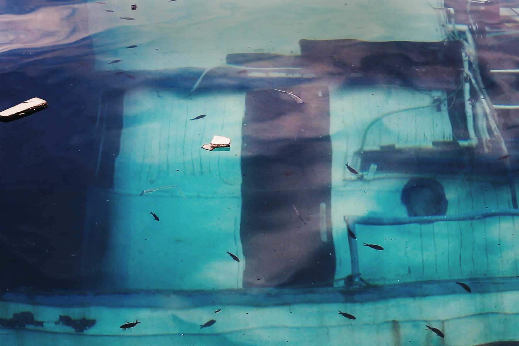 video still