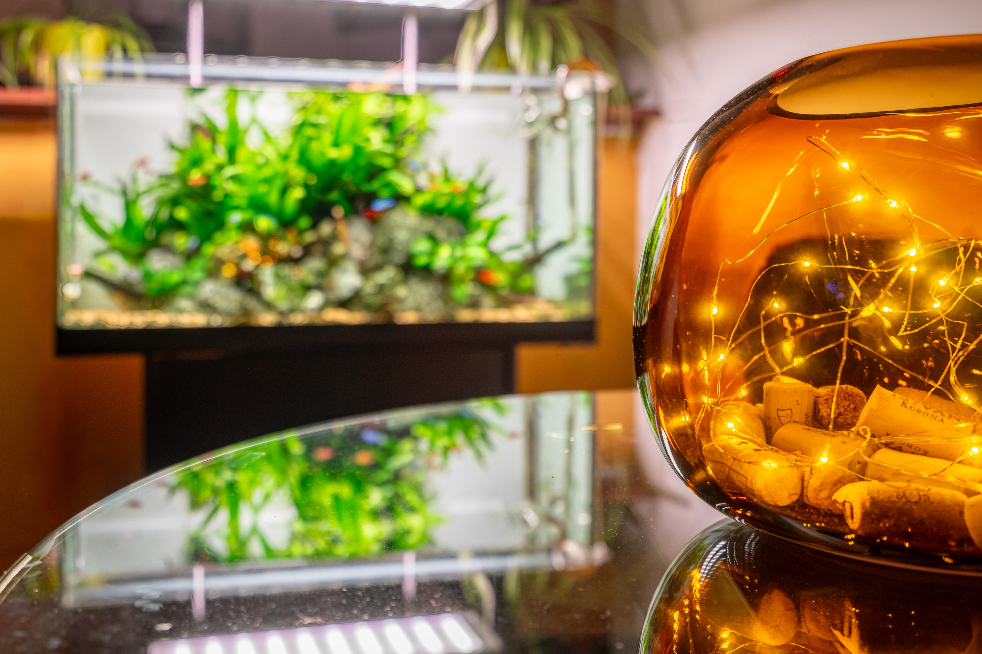 Ingatlanfotózás, enteriőrfotó, épületfotózás