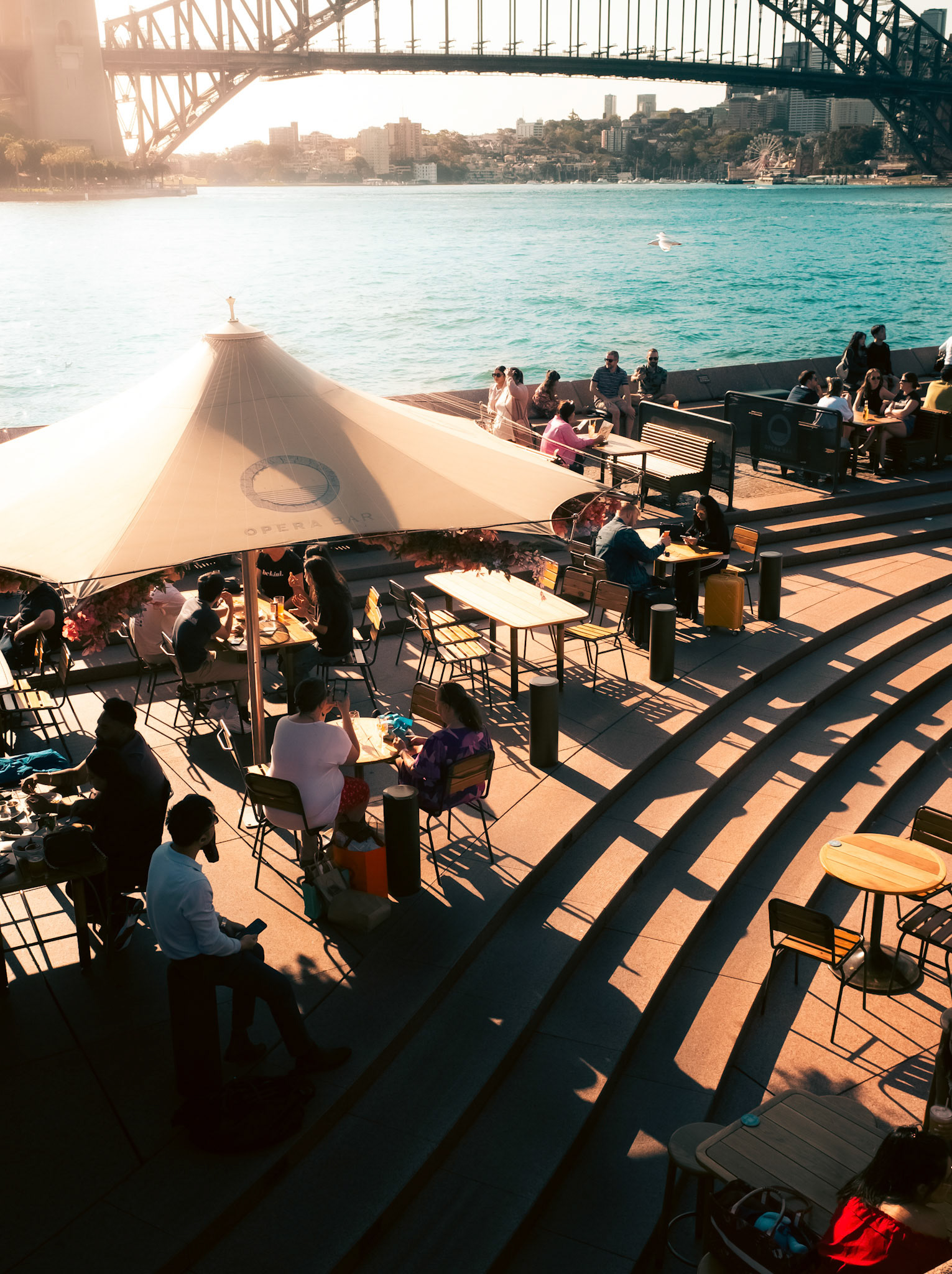 Opera Bar. 2024
